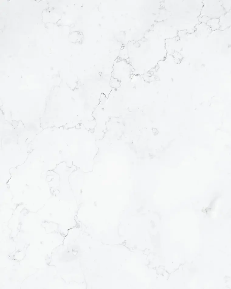Close-up visual reference of pale Carrara marble veining