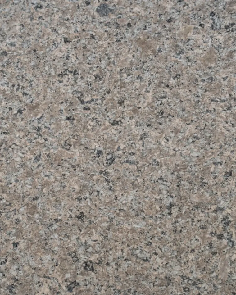 Close-up visual reference of warm speckled granite