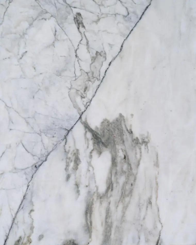 Close-up visual reference of expressive Italian Statuario veining