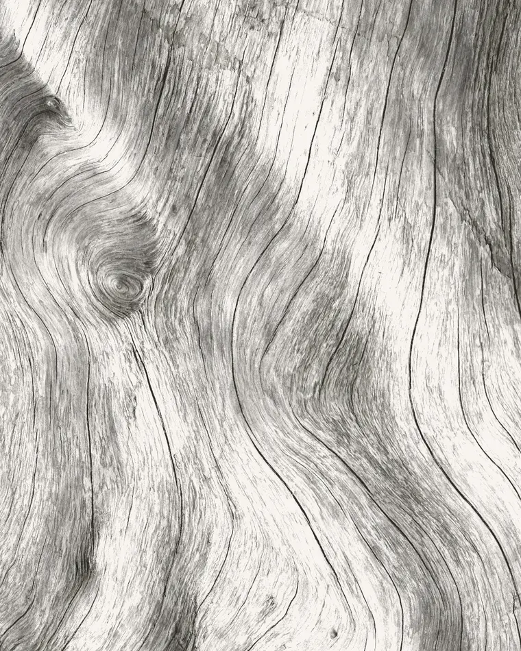 Close-up visual reference of pale ash grain