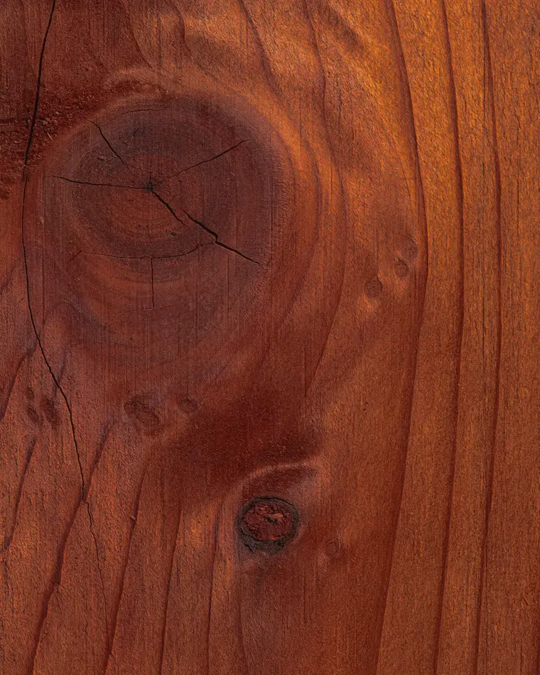 Close-up visual reference of rich mahogany grain